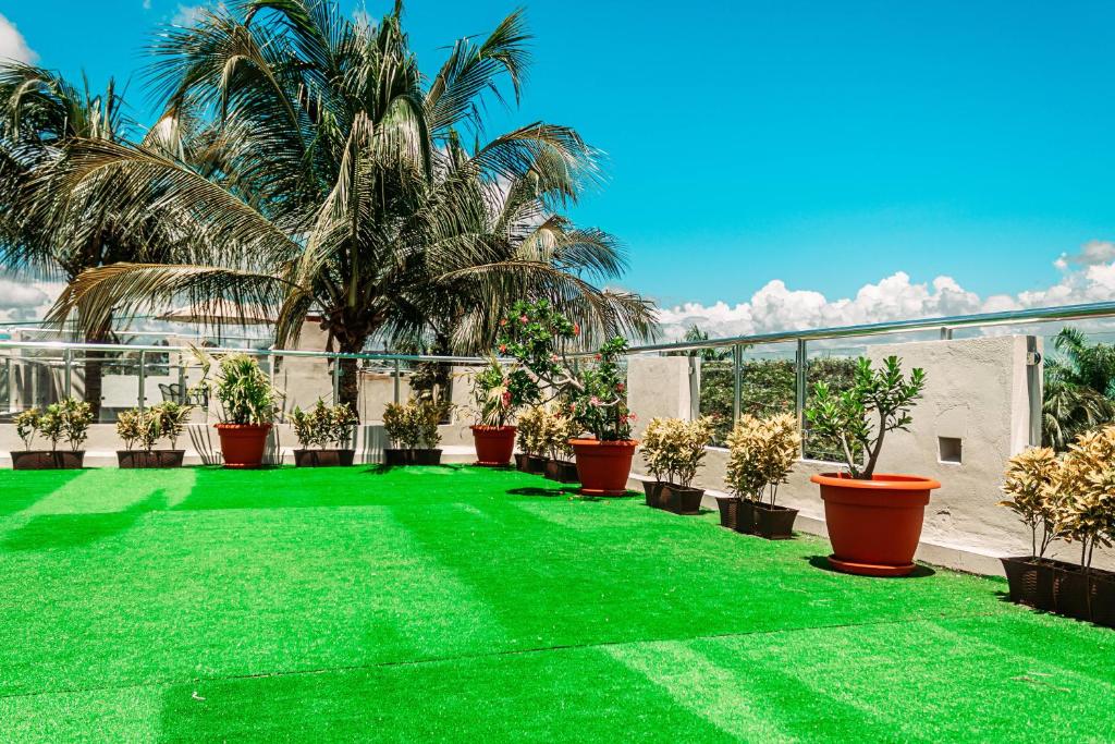 Zahrada ubytování Hotel Tuparenda