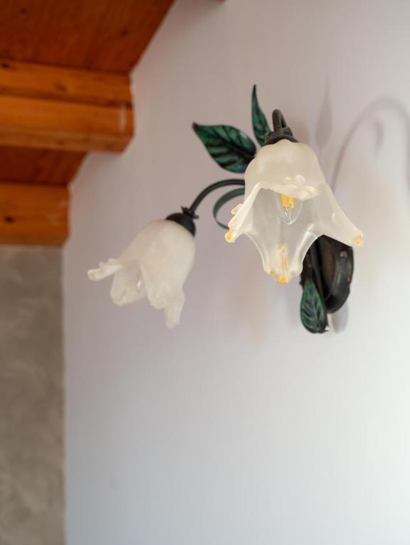 a couple of objects hanging from a wall at Agriturismo S.Ilario in Genoa