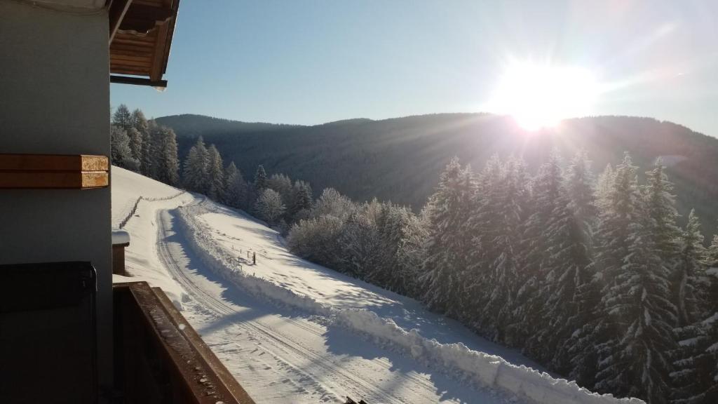Príroda v okolí apartmánu