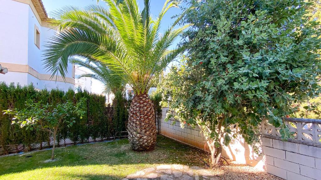 Zahrada ubytování Villa El Palmar 2 en Denia