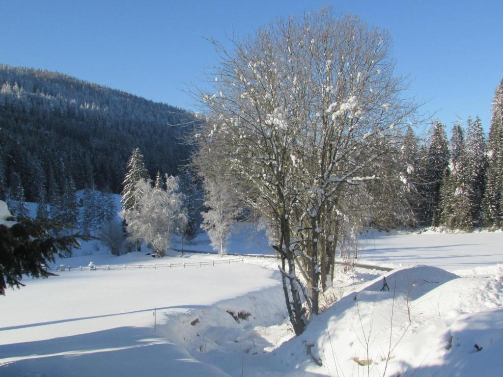 Ferienhaus Priller v zimě