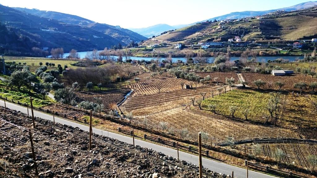 Peisaj natural din apropierea acestei case de vacanță