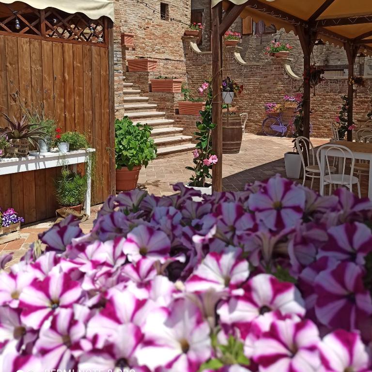Zahrada ubytování Albergo Diffuso Borgo Montemaggiore