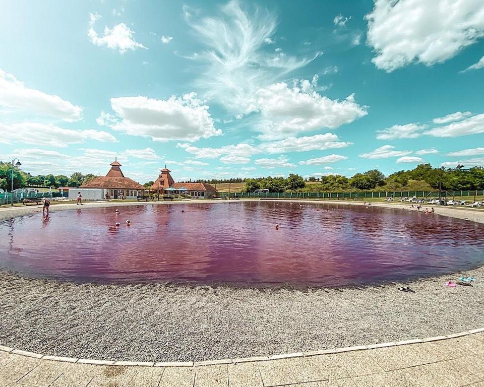 a large pond with purple water in a park at Apartments Iles in Pačir