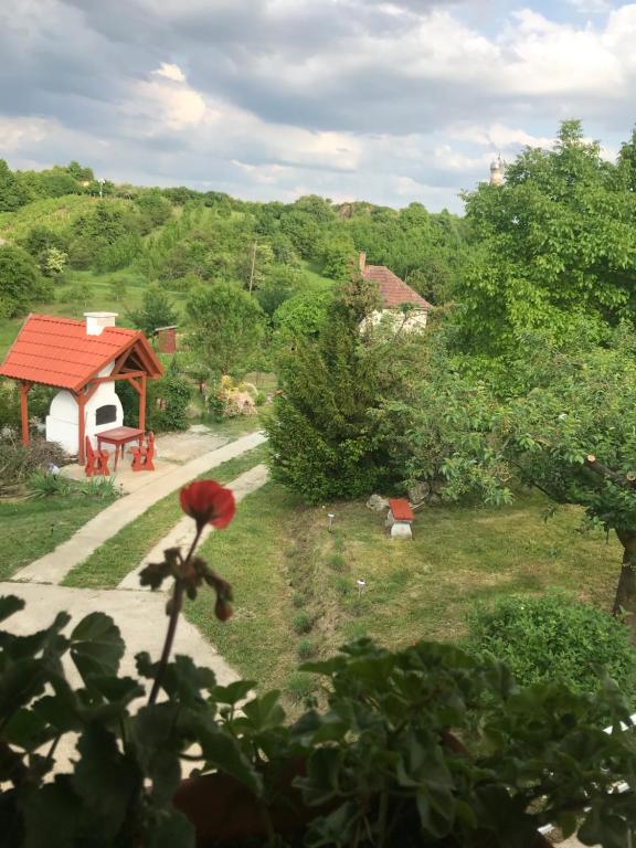 un jardín con cenador y una flor roja en ZSUTI BORHÁZ, MAGÁNSZÁLLÁSHELY, 