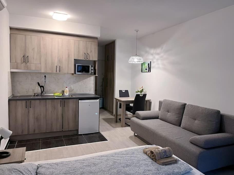 Kuchyňa alebo kuchynka v ubytovaní Corvin cozy Apartment with balcony309