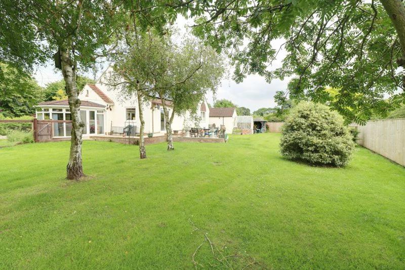 a yard with a white house and trees at Millfields cottage and garden in Goxhill