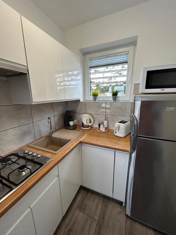 Kuchyň nebo kuchyňský kout v ubytování Amaretto Apartamenty Solina - balia z jacuzzi i sauna