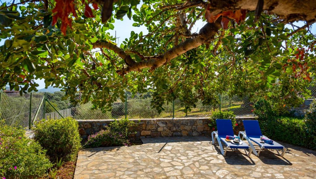 two chairs sitting on a patio under a tree at Carob Cottage in Elounda