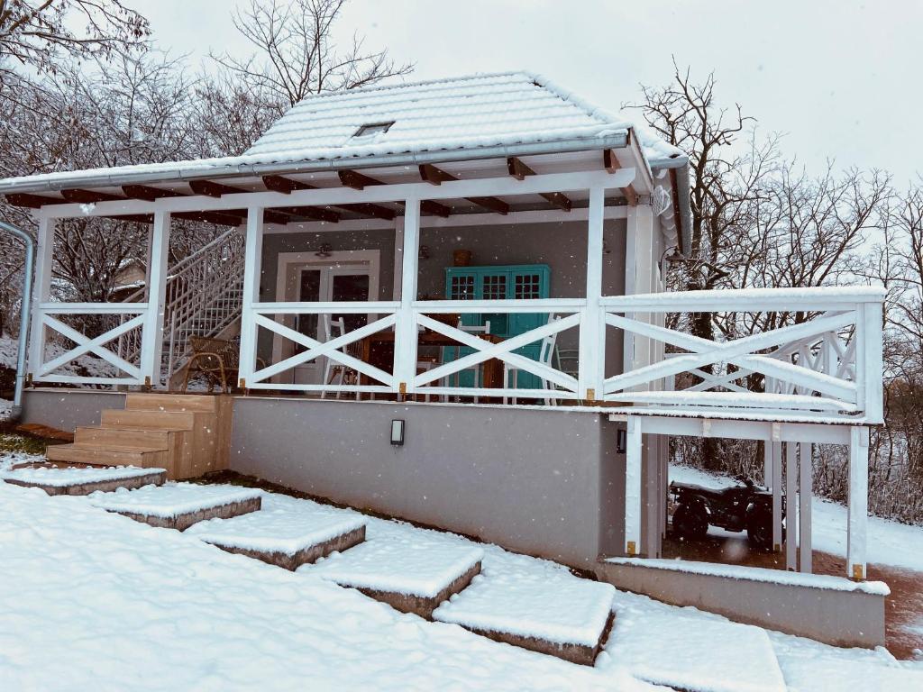 Dandelion "Zsálya" Vendégház during the winter