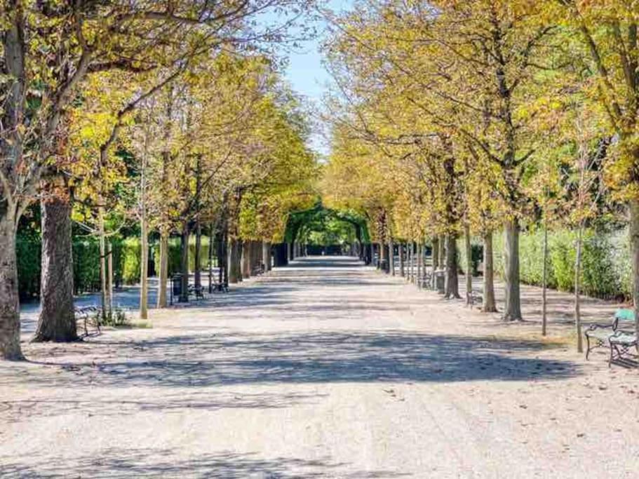 Fotografia z galérie ubytovania Center apt in best area near park & danube 20’to Airport vo Viedni