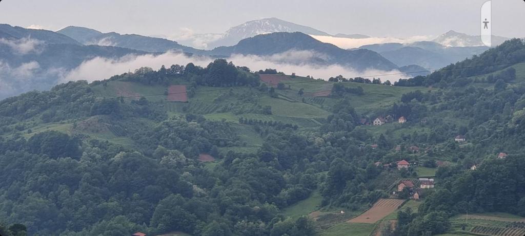 Příroda nedaleko apartmánu