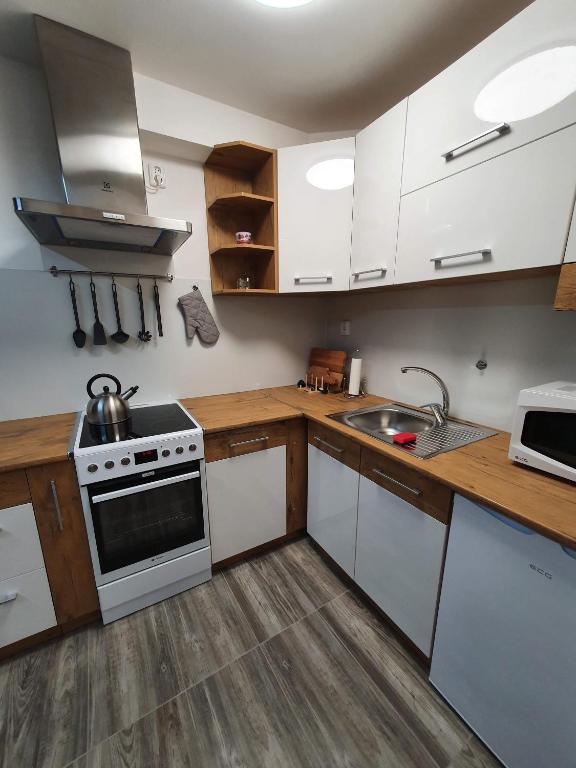 Kuchyň nebo kuchyňský kout v ubytování Apartmány Nová duha Vavřinec