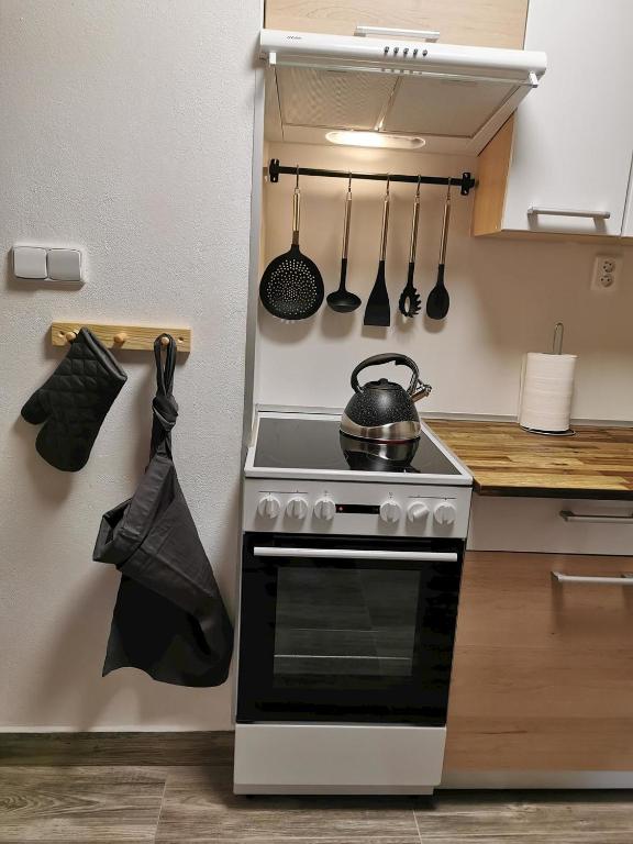 Kuchyň nebo kuchyňský kout v ubytování Apartmány Nová duha Vavřinec
