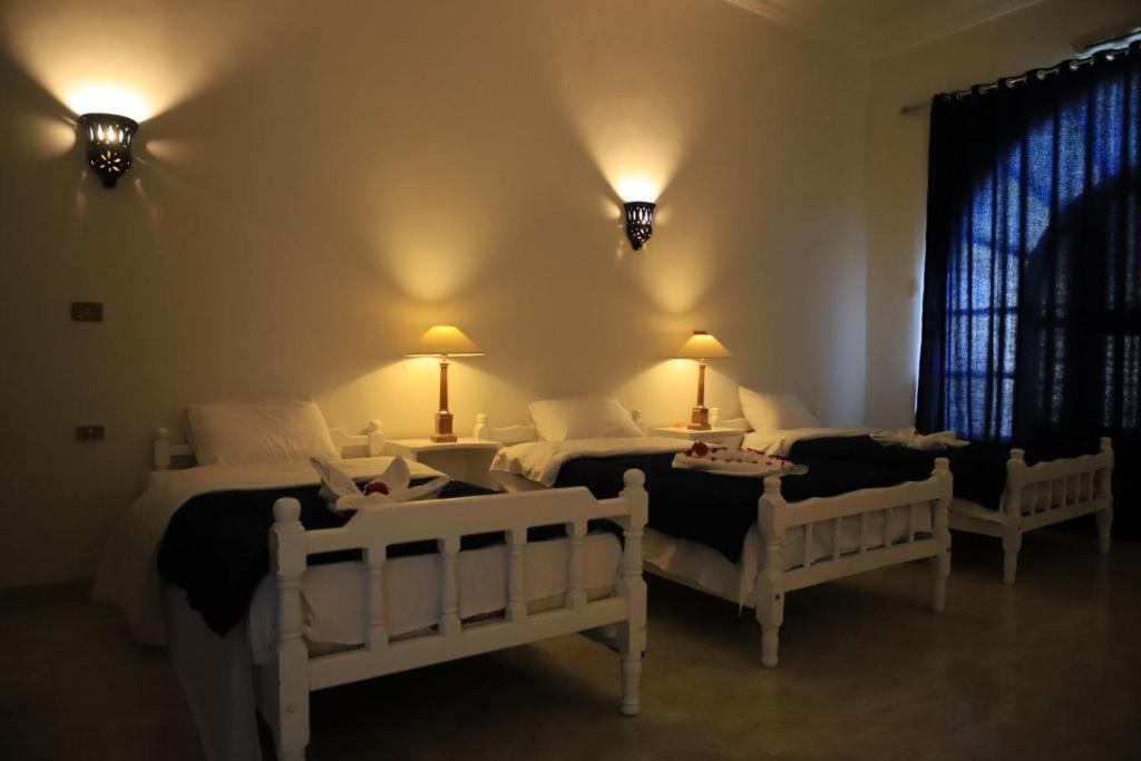 Postel nebo postele na pokoji v ubytování Luxor Oasis Guest House