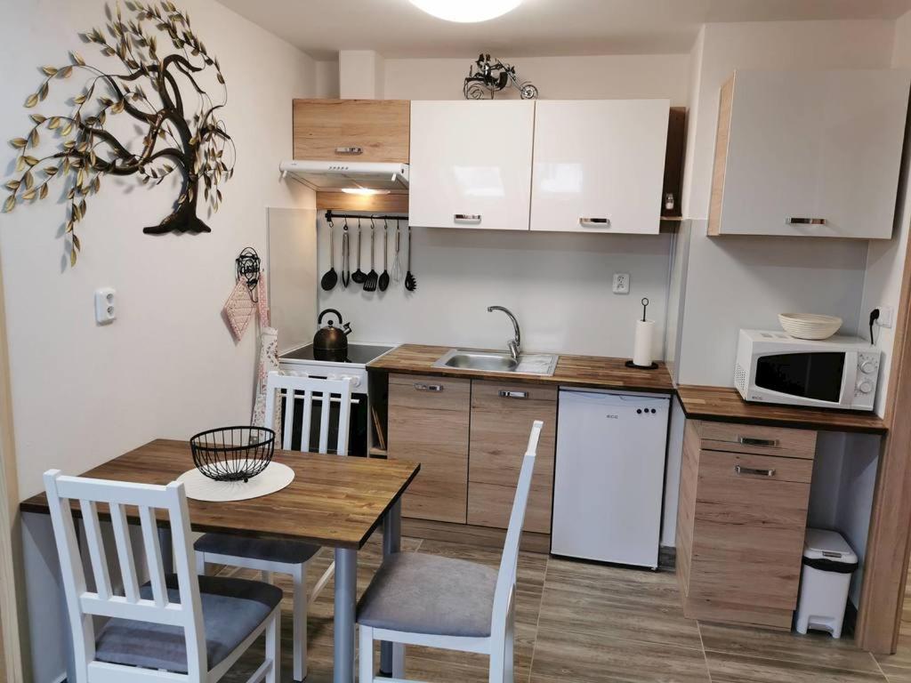 Kuchyň nebo kuchyňský kout v ubytování Apartmány Nová duha Vavřinec