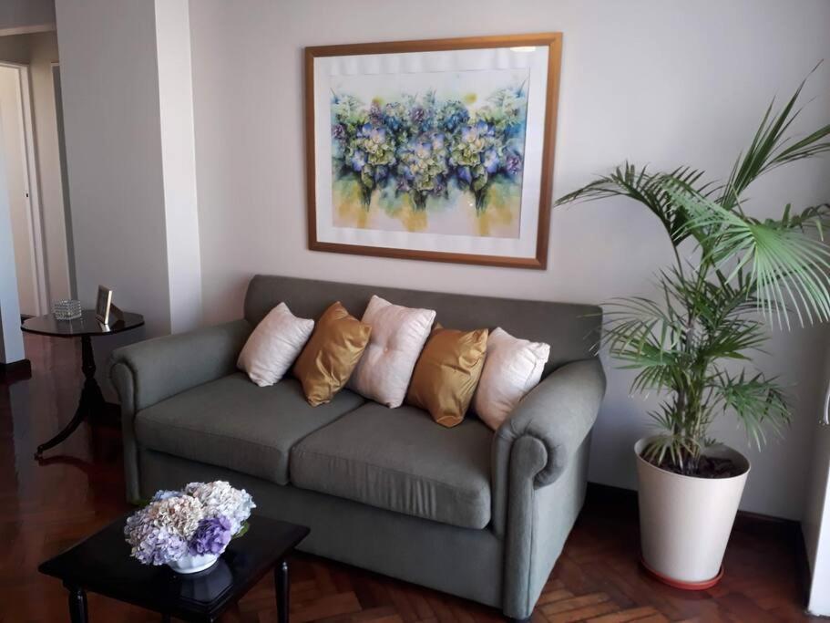 una sala de estar con un sofá con almohadas y una pintura en Muy agradable departamento. Bien ubicado, luminoso en San Miguel de Tucumán