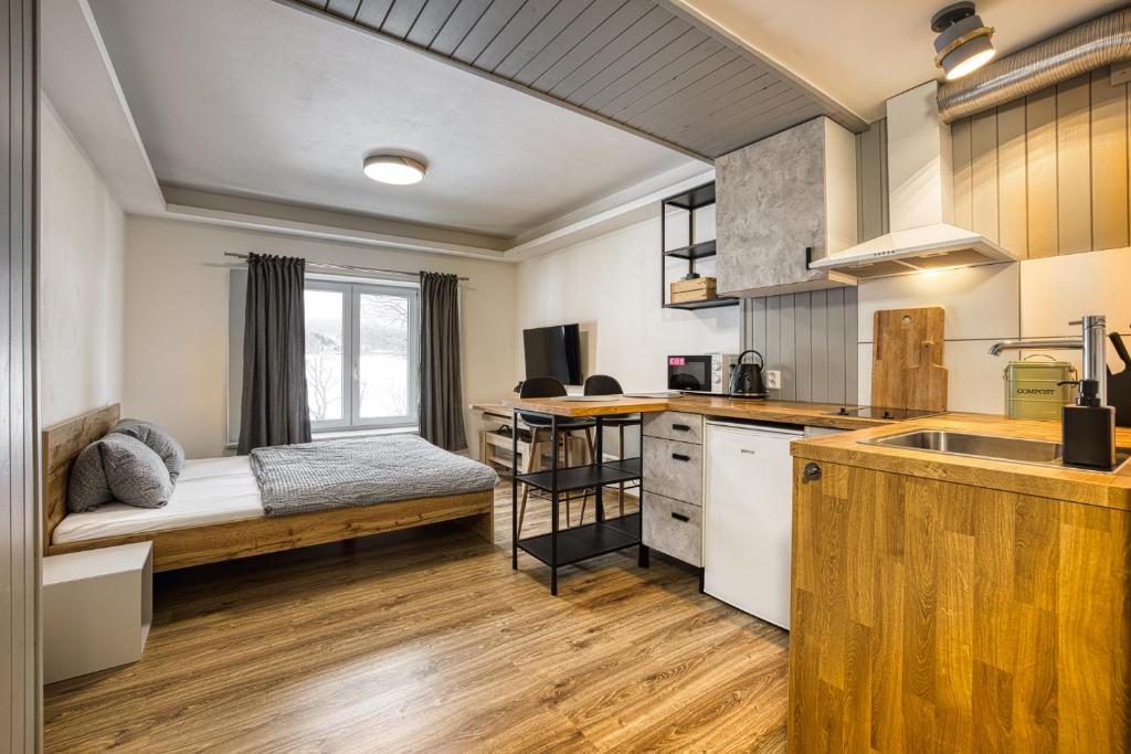 Kuchyň nebo kuchyňský kout v ubytování Apartmány Pod Šerákem