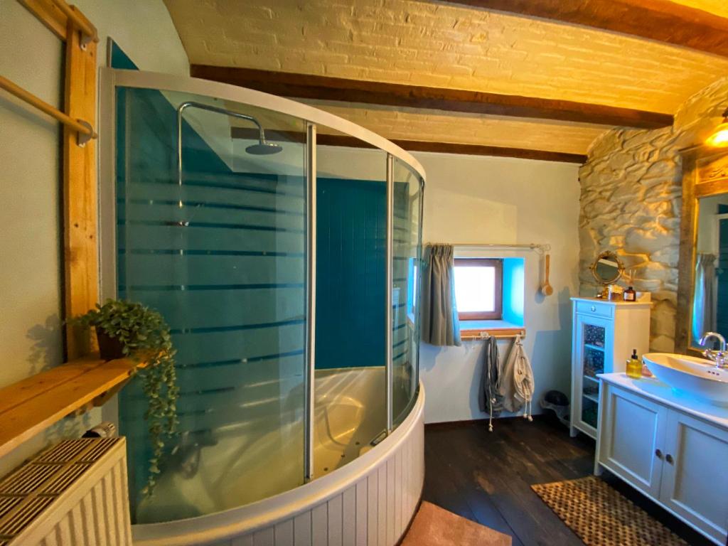 La salle de bains est pourvue d'une douche et d'un lavabo. dans l'établissement Maison Maissin, à Paliseul