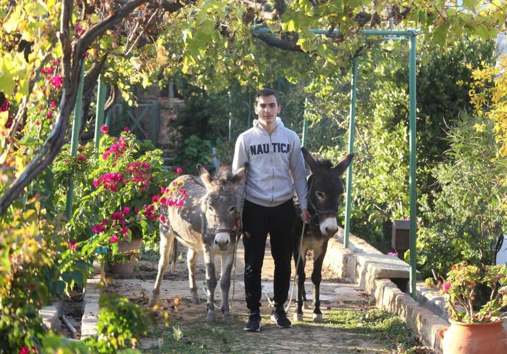 A garden outside Venetis Luxury Apartments