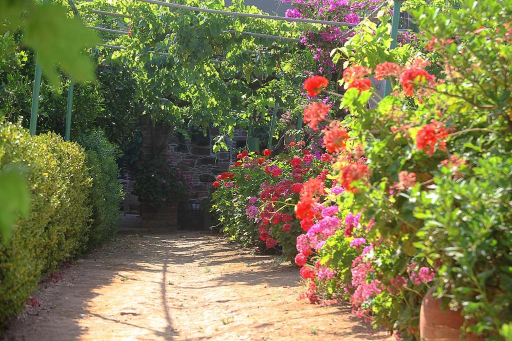 A garden outside Venetis Luxury Apartments