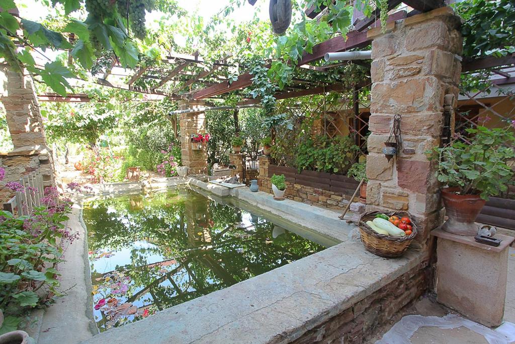 A garden outside Venetis Luxury Apartments