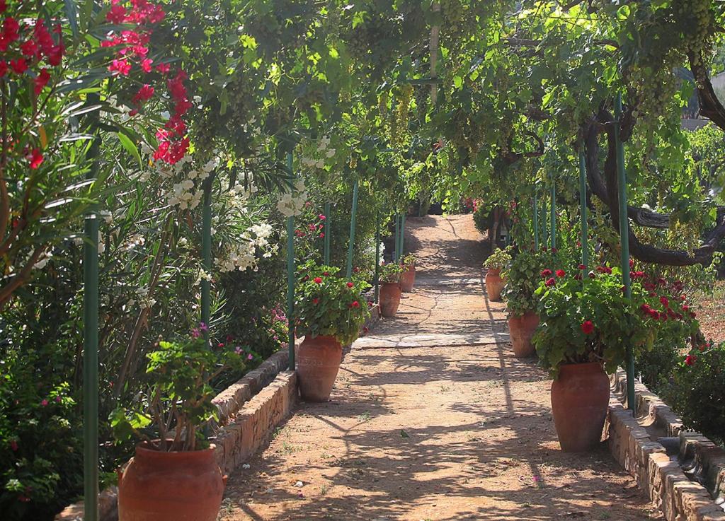 A garden outside Venetis Luxury Apartments