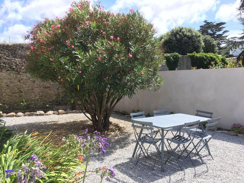 Zahrada ubytování Maison de charme au cœur du Palais avec jardin, proche commerces et plage - FR-1-418-77