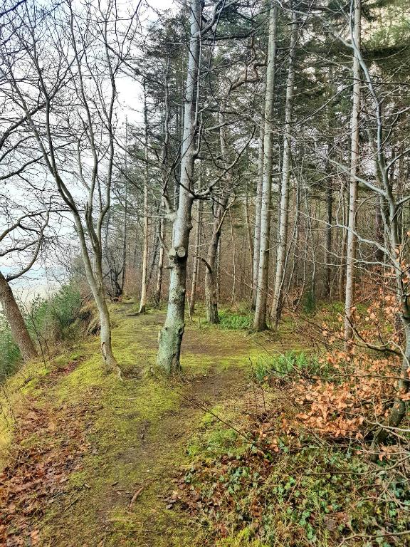 Príroda v okolí apartmánu