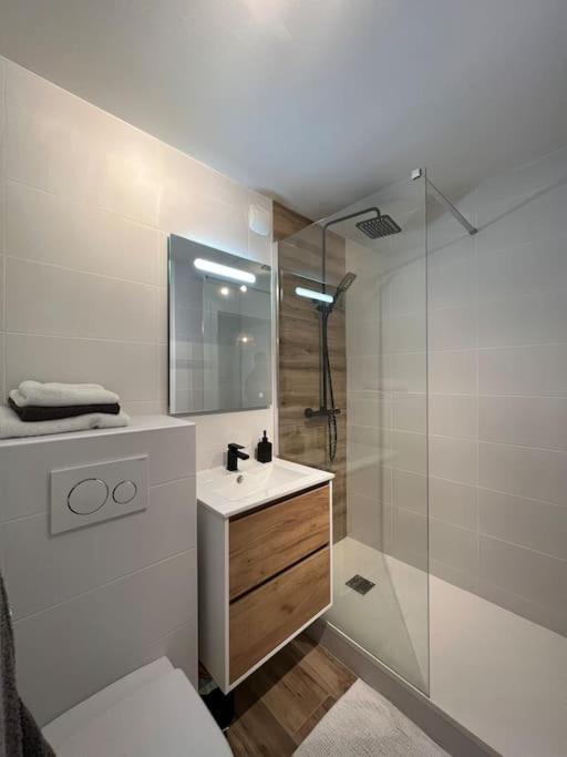 Kúpeľňa v ubytovaní Appartement vue sur mer, 100 m de la plage