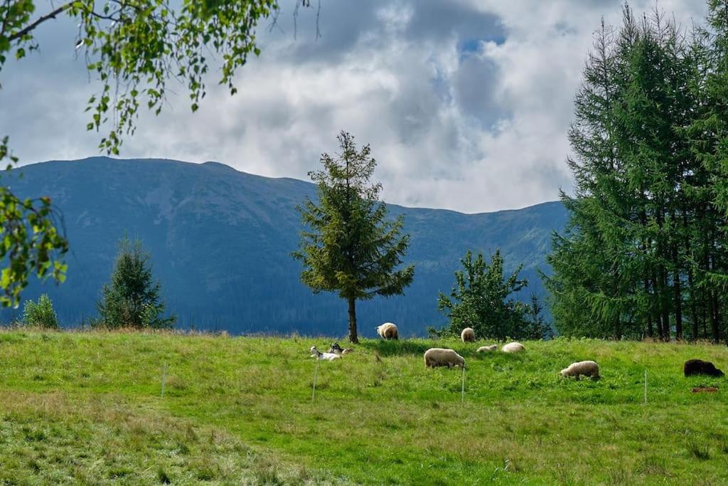 Fotografia z galérie ubytovania Góralski dom pod Babią Górą v destinácii Zawoja