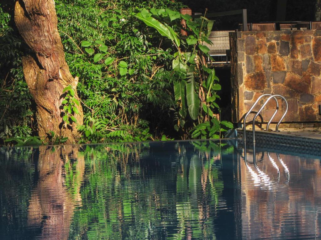 Bazén v ubytování Selvaje Lodge Iguazu nebo v jeho okolí