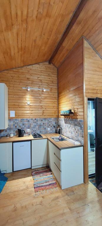 Kuchyň nebo kuchyňský kout v ubytování Guesthouse and Cottage Nicolo