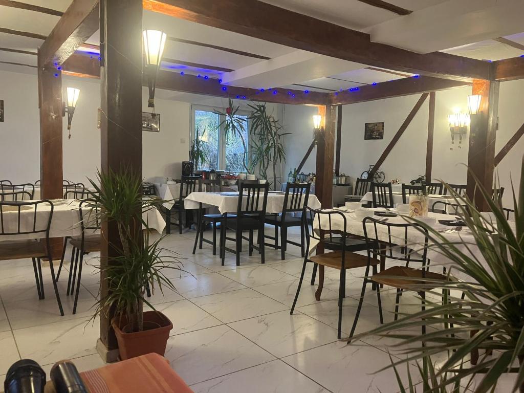 Restaurace v ubytování Pensiunea Deceneu