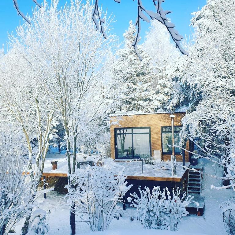 PASSION HUT - One-Bedroom House