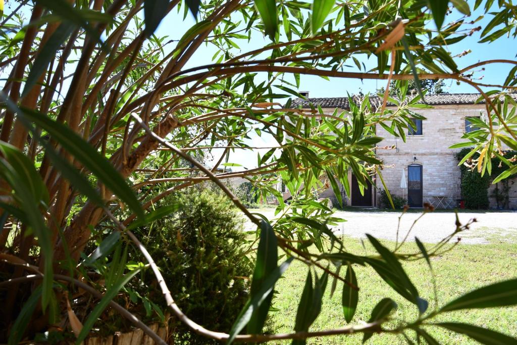 Agriturismo Dai Mori - 一居室公寓