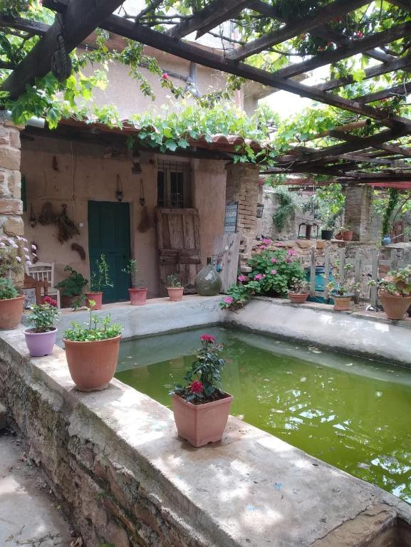A garden outside Venetis Luxury Apartments