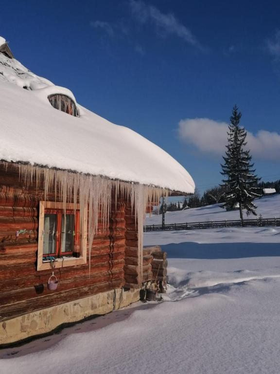 Cabana Păstrăvului - Two-Bedroom Chalet