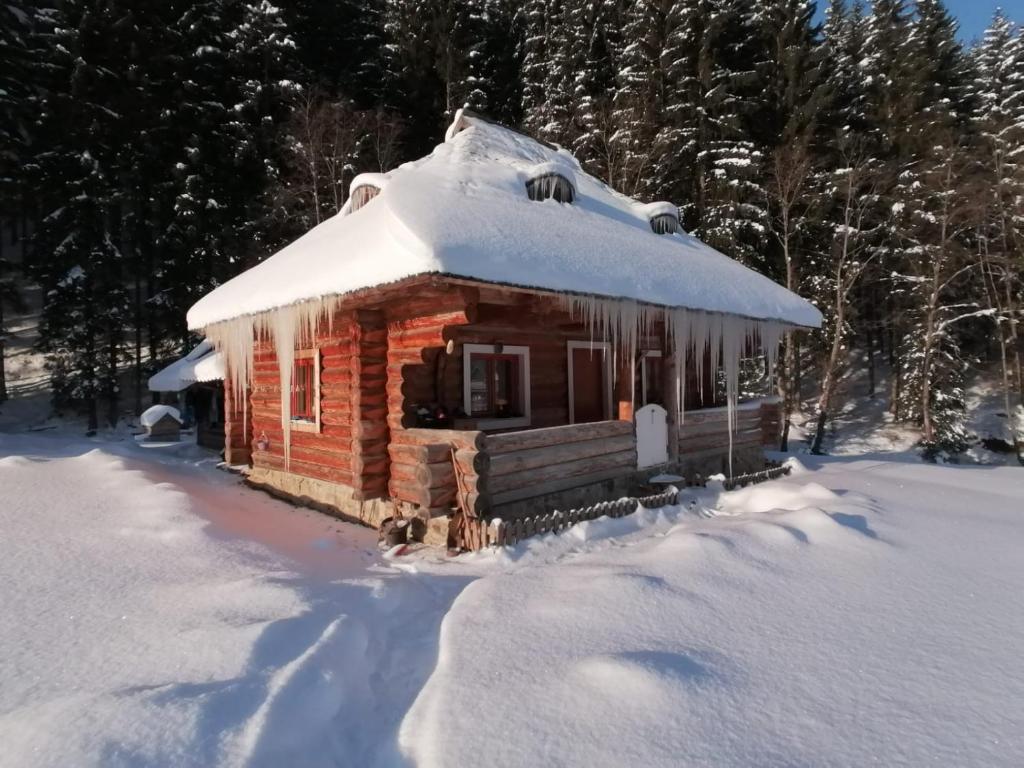 Cabaña de madera pequeña con nieve en el techo en Cabana Păstrăvului, en Izvoarele Sucevei