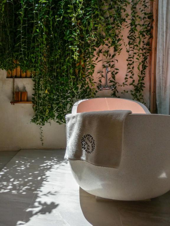 La Siesta bungalows ONLY ADULTS - 11