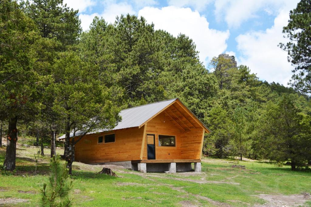 シャレーの近くで見られる自然の景観