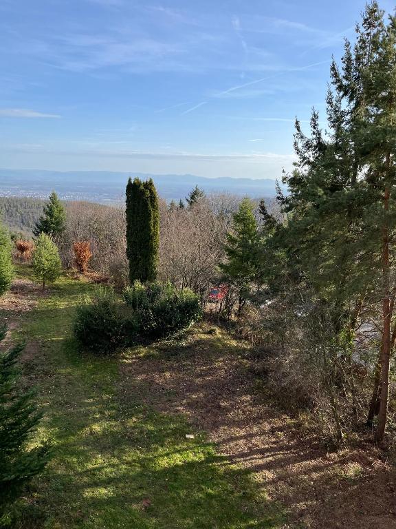 l'Ecrin du Bonheur – photo 6