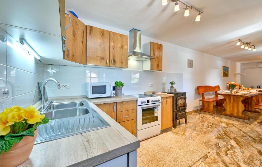 Kuchyňa alebo kuchynka v ubytovaní 2 Bedroom Cozy Home In Gornja Ploscica