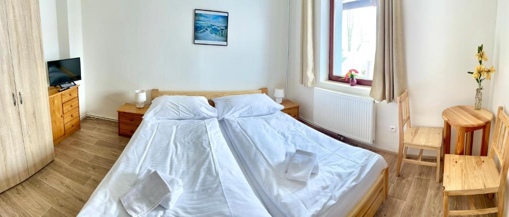 Penzion Dolní Morava - 7