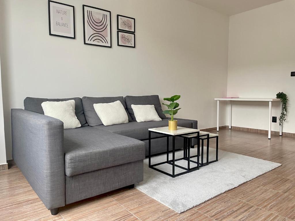 een woonkamer met een grijze bank en een tafel bij Apartment Lilly in Špindlerův Mlýn