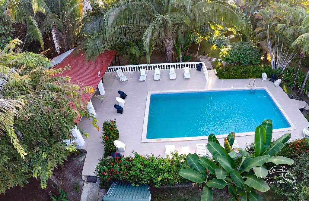an overhead view of a swimming pool with chairs and trees at Tropical Garden Hotel in Jacó