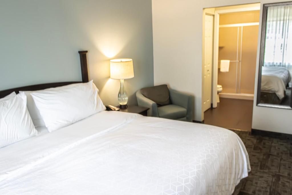 Staybridge Suites Minot by IHG - キングルーム 聴覚バリアフリー 禁煙
