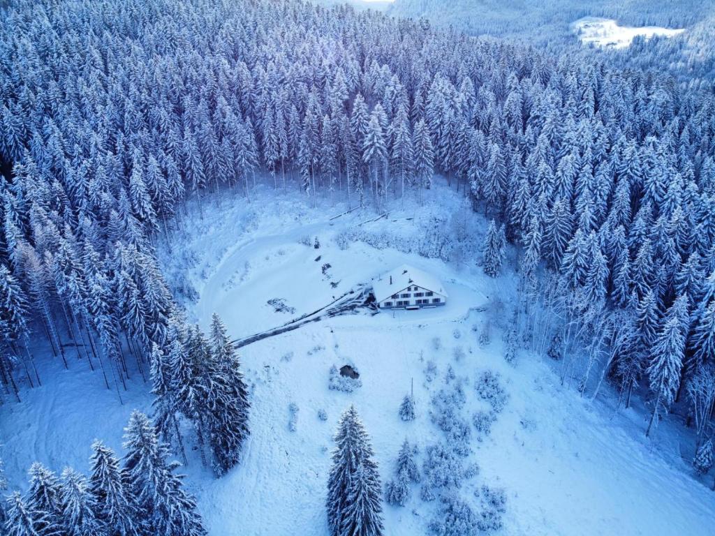 an aerial view of a cabin in a snow covered forest at La Ferme des 3 lacs in Xonrupt-Longemer