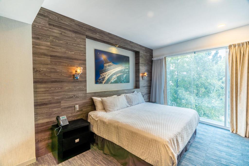 Elite 47 Interlomas - One-Bedroom Apartment