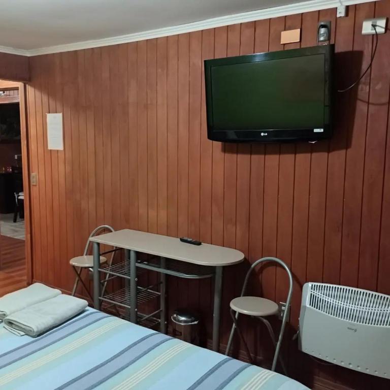 TV a/nebo společenská místnost v ubytování Hostal Mahuida